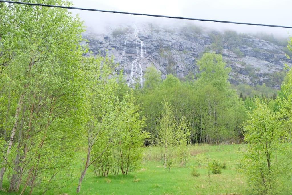 With View In Jolster Årdal