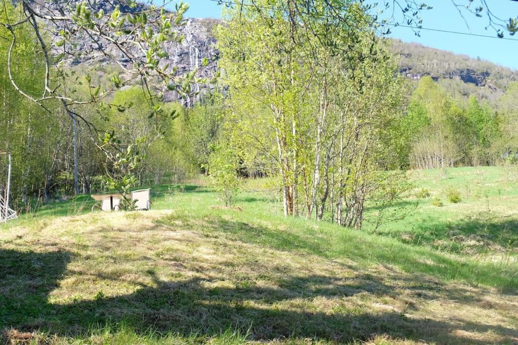 With View In Jolster * Årdal