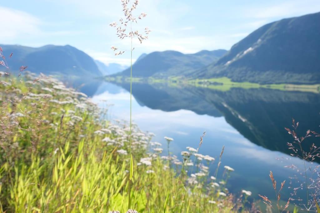 With View In Jolster Årdal