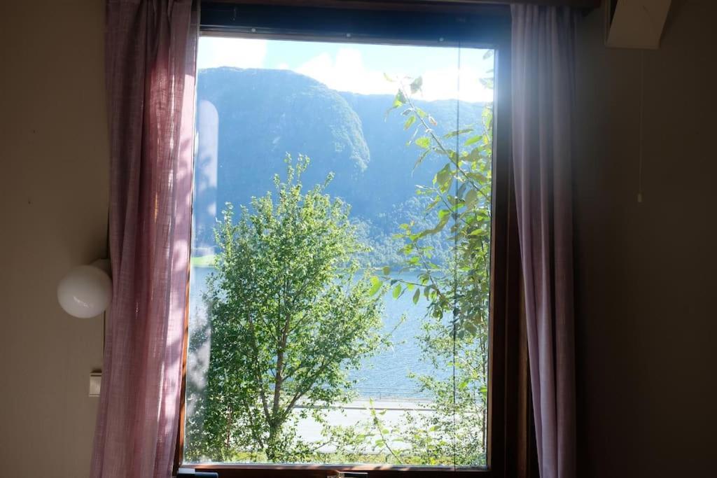 With View In Jolster *