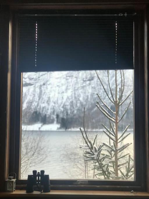 With View In Jolster