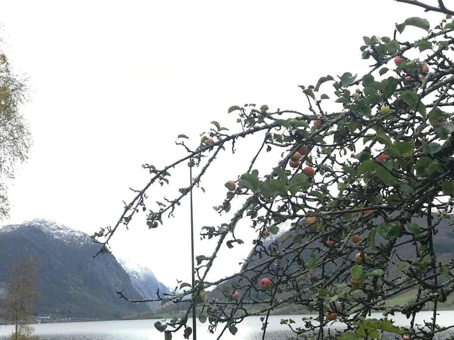 Apartment With View In Jolster Årdal